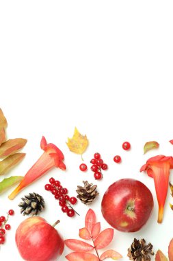 Beyaz arkaplanda Şükran Günü kompozisyonu, metin için boşluk