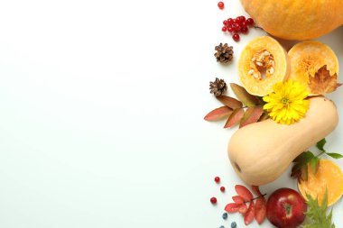 Beyaz arka planda balkabakları olan Şükran Günü kompozisyonu