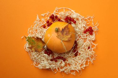 Turuncu arka planda balkabağı olan Şükran Günü kompozisyonu