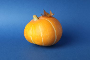 Mavi arka planda balkabağı olan Şükran Günü konsepti