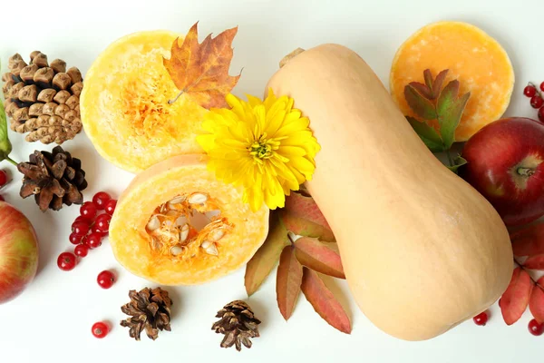 Thanksgiving Day composition with pumpkins on white background