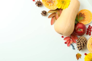 Beyaz arka planda balkabakları olan Şükran Günü kompozisyonu