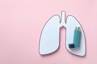 Pembe arka planda dekoratif akciğerler ve astım spreyi