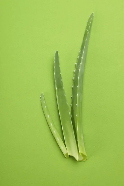 Drie Aloë Vera Bladeren Groene Achtergrond — Stockfoto