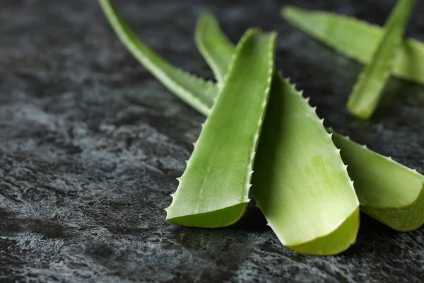 Aloe Vera Daun Pada Latar Belakang Asap Hitam — Stok Foto