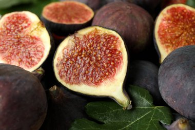 Yapraklı incir, yakın ve seçici odaklanma