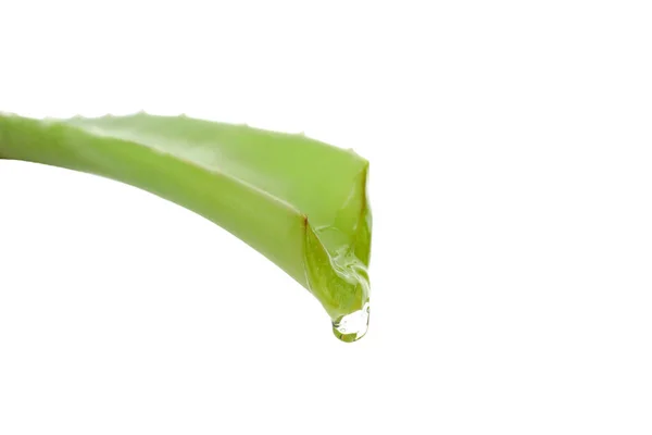 Aloe List Kapající Gel Izolované Bílém Pozadí — Stock fotografie