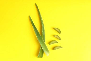 Aloe vera sarı arka planda yapraklar ve dilimler