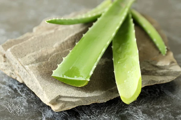 Aloe Vera Daun Dan Batu Pada Latar Belakang Asap Hitam — Stok Foto