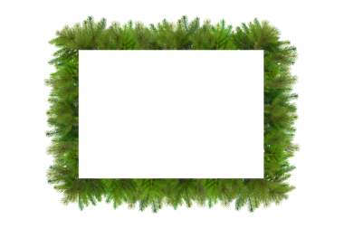 Yeşil köknar dalları boş bir alanı çerçeveler, izole, PNG