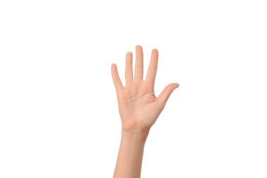 Bir el kaldırıldı, avuç içi açık, misafirperver bir şekilde, beyaz üzerine izole edilmiş, PNG