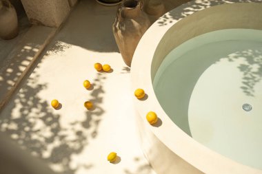 Limonlar doğal elementlerle çevrili yuvarlak bir havuzun yanında dinlenirler.