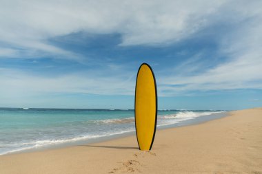 Sörf tahtası okyanus dalgalarıyla kıyıda dinleniyor.