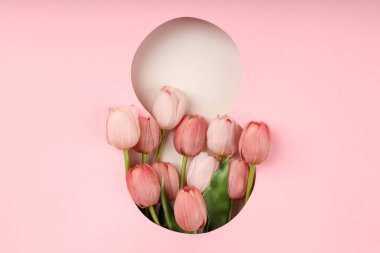 Pembe arka plandaki laleler, baharı simgeliyor.