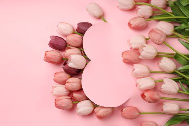 Kadınlar Günü için pembe arka planda canlı bir lale gösterisi.