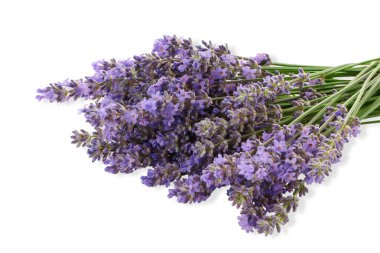 Düz bir yüzeye yerleştirilmiş lavanta çiçekleri, izole edilmiş, PNG