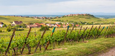 Köy Riquewihr içinde Alsace, Fransa