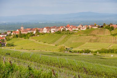 Köy Riquewihr içinde Alsace, Fransa