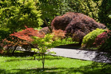 Villa Taranto, Piedmont, İtalya 12 Mayıs 2015