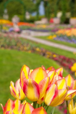 Villa Pallavicino, Stresa Lake Maggiore, Piedmont, İtalya 17 Nisan 2015 tarihinde