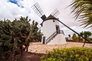 Müze yel değirmeni Antigua Fuerteventura, Kanarya Adaları, İspanya
