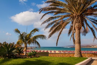 şemsiye beach, Fuerteventura, Kanarya Adaları.