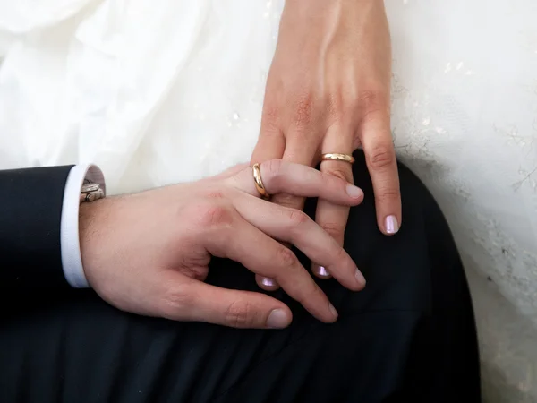 Hands of the newly-weds — Stock Photo, Image