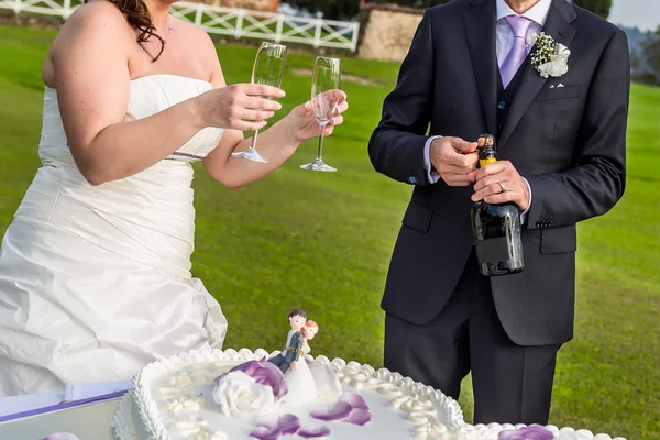 Brinde de casamento — Fotografia de Stock