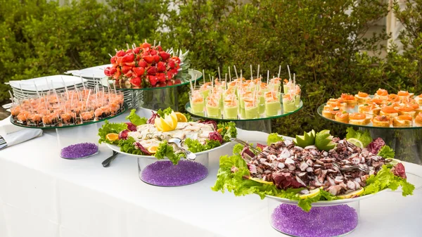 Aperitivos variados e alimentos para dedos — Fotografia de Stock