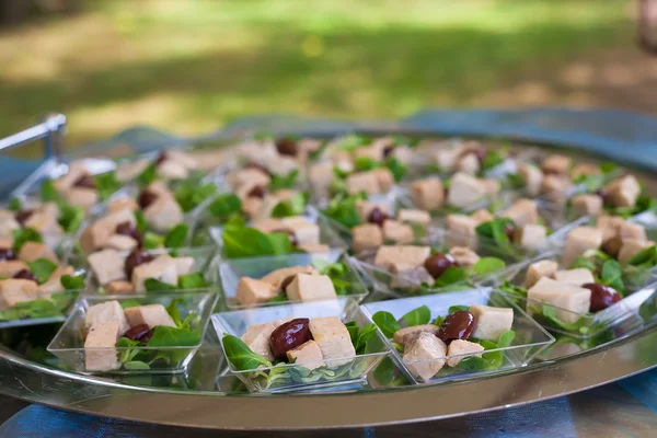 Aperitivos variados e alimentos para dedos — Fotografia de Stock