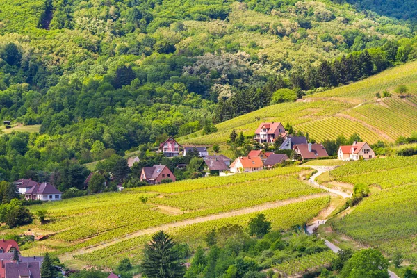 Idylliczne wina miejscowości Kaysersberg w Alzacji — Zdjęcie stockowe