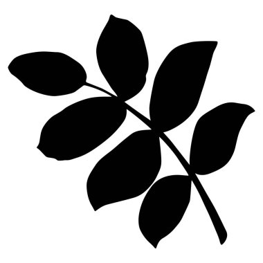 Sekiz, on bir, beş, dört, dokuz, bir, yedi, altı, on, üç, on iki,