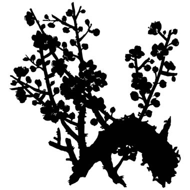 Sekiz, on bir, beş, dört, dokuz, bir, yedi, altı, on, üç, on iki,