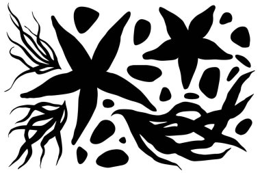 Sekiz, on bir, beş, dört, dokuz, bir, yedi, altı, on, üç, on iki,