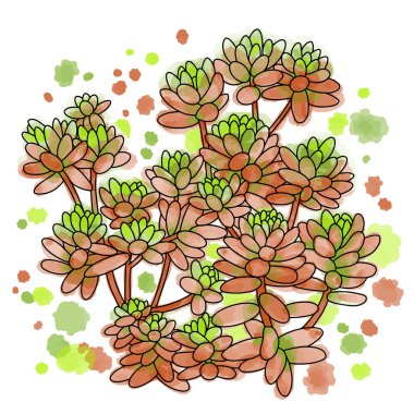 Sekiz, on bir, beş, dört, dokuz, bir, yedi, altı, on, üç, on iki,