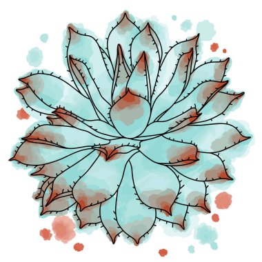 Sekiz, on bir, beş, dört, dokuz, bir, yedi, altı, on, üç, on iki,