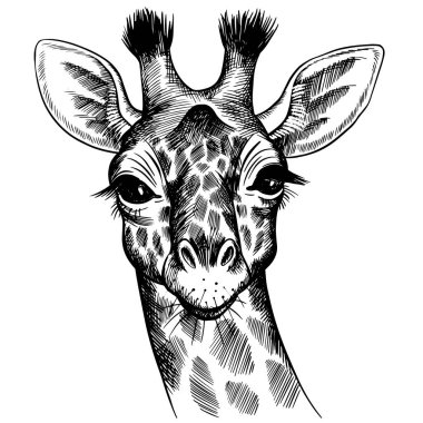 Sekiz, on bir, beş, dört, dokuz, bir, yedi, altı, on, üç, on iki,