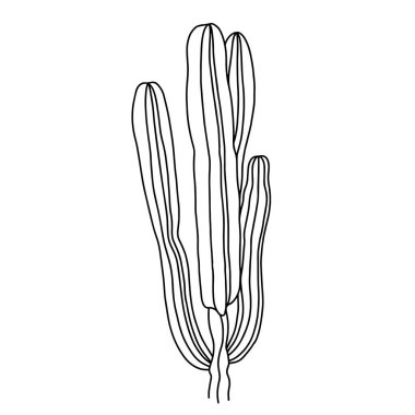 Sekiz, on bir, beş, dört, dokuz, bir, yedi, altı, on, üç, on iki,