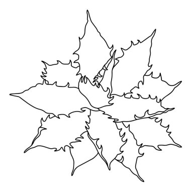 Sekiz, on bir, beş, dört, dokuz, bir, yedi, altı, on, üç, on iki,