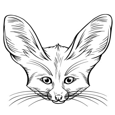 Sekiz, on bir, beş, dört, dokuz, bir, yedi, altı, on, üç, on iki,