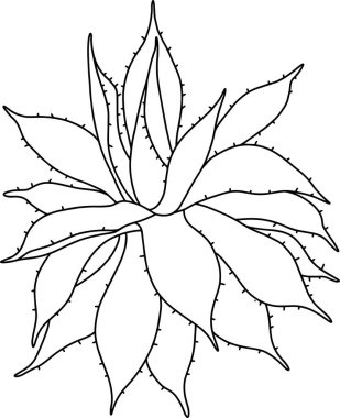 Sekiz, on bir, beş, dört, dokuz, bir, yedi, altı, on, üç, on iki,