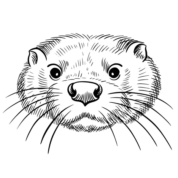 Sekiz, on bir, beş, dört, dokuz, bir, yedi, altı, on, üç, on iki,