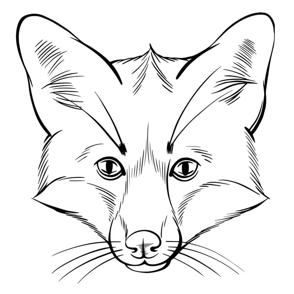 Sekiz, on bir, beş, dört, dokuz, bir, yedi, altı, on, üç, on iki,