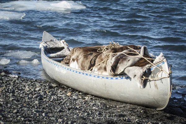 Eskimo leven — Stockfoto