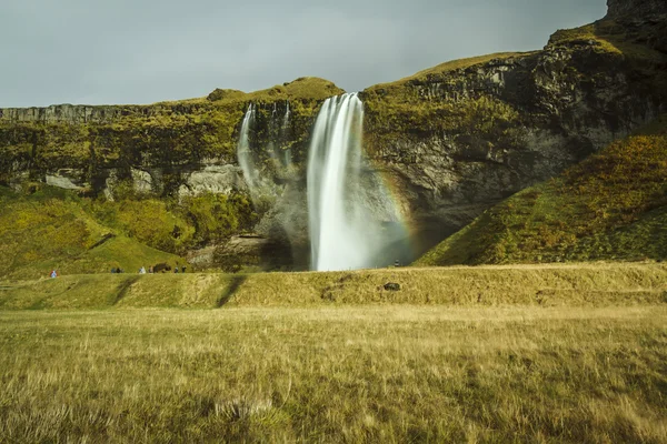 Vodopády Islandu — Stock fotografie