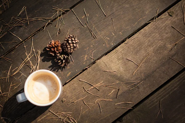 Café en el bosque — Foto de Stock