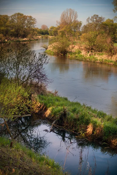 Río Warta, Polonia, Europa —  Fotos de Stock