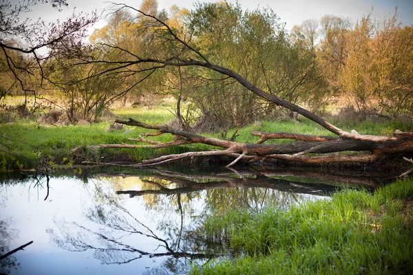 Βάρτα ποταμού, Πολωνία, Ευρώπη — Φωτογραφία Αρχείου