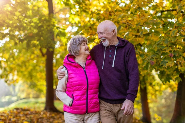 Glad Senior Par Tillbringa Tid Tillsammans Vacker Stadspark Hösten — Stockfoto