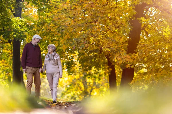 Feliz Pareja Ancianos Pasando Tiempo Juntos Hermoso Parque Ciudad Otoño — Foto de Stock